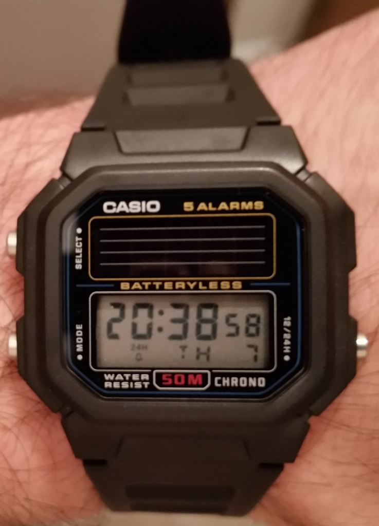 casio 190w